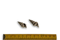 F 12349
<br/>
<br/>
<em></em>